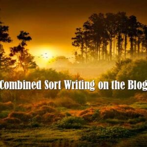 combined sort writing on the blog