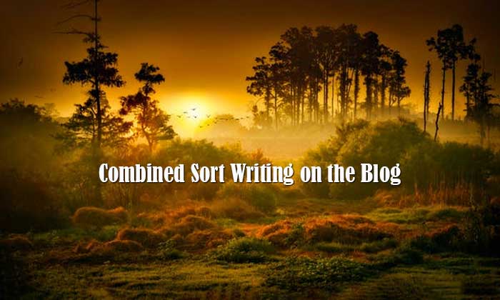 combined sort writing on the blog