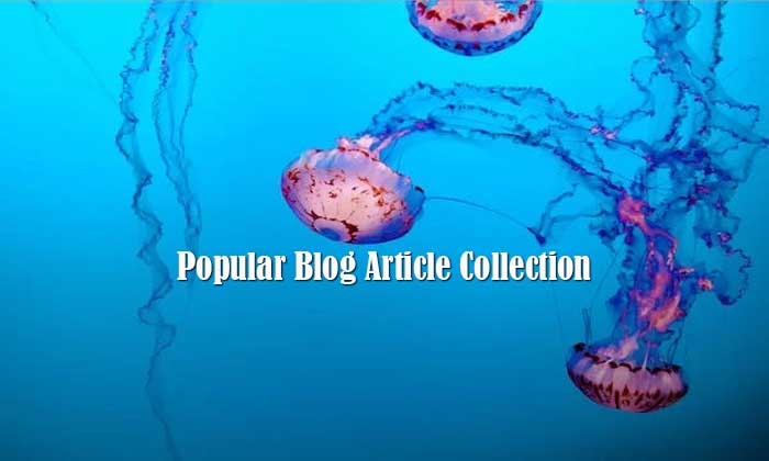 popular blog article collection