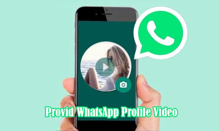 provid whatsapp profile video
